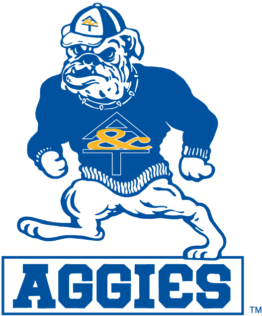 North Carolina A&T Aggies 1988-2005 Alternate Logo v2 diy iron on heat transfer